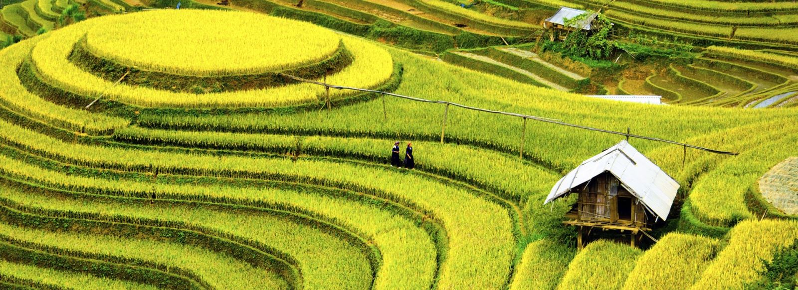 Discovery Northern of VIETNAM in 7 DAYS