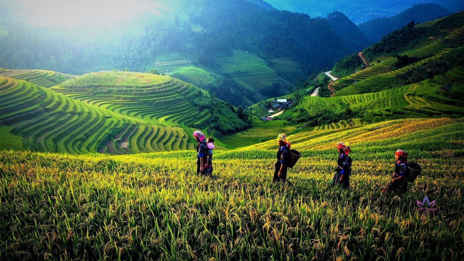 Discovery Northern of VIETNAM in 7 DAYS