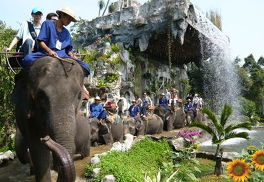 Crocodile farm & the elephant theme show