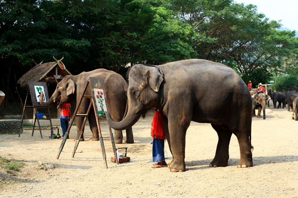 Charming Thailand Package tour 12 day