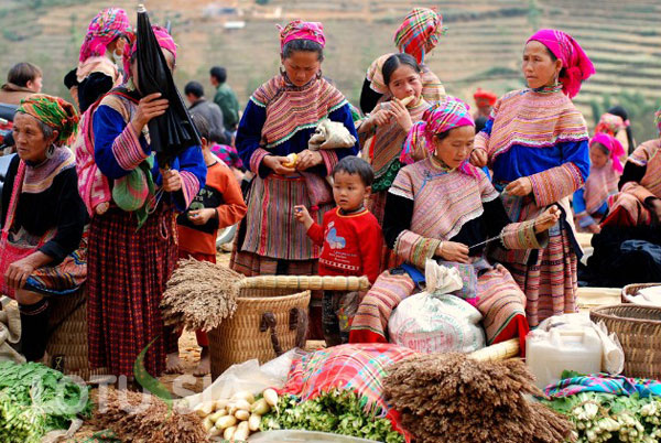 Grand Vietnam Tour 17 Days 6