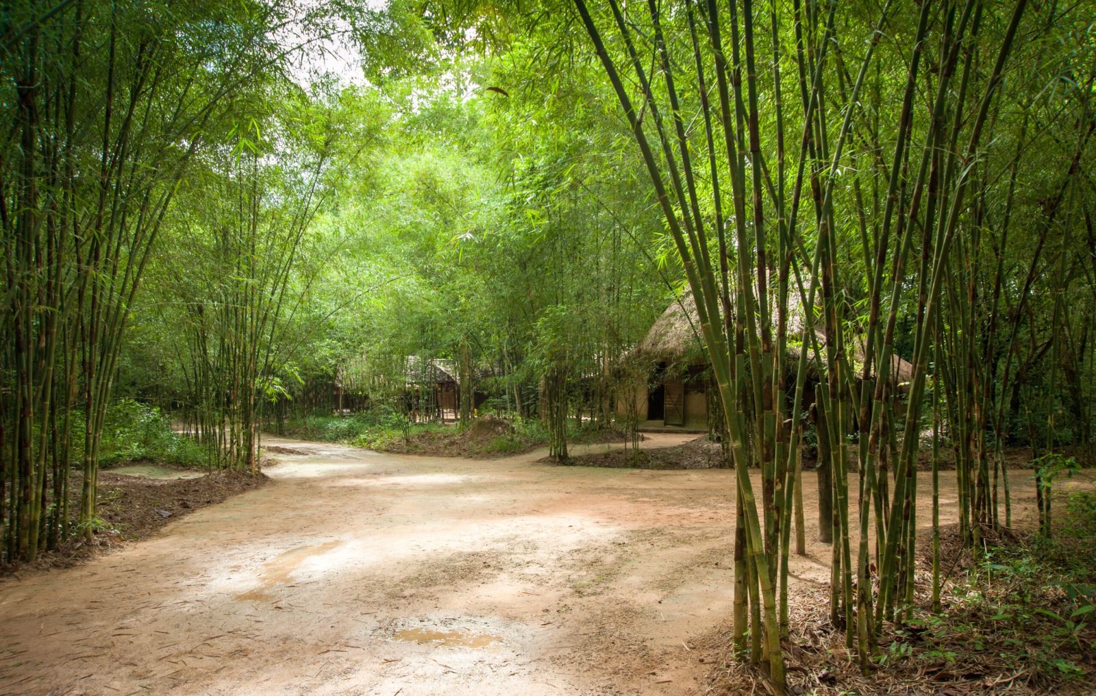 SAVOR THE BEAUTY OF CENTRAL & SOUTH VIETNAM 7 DAYS 16