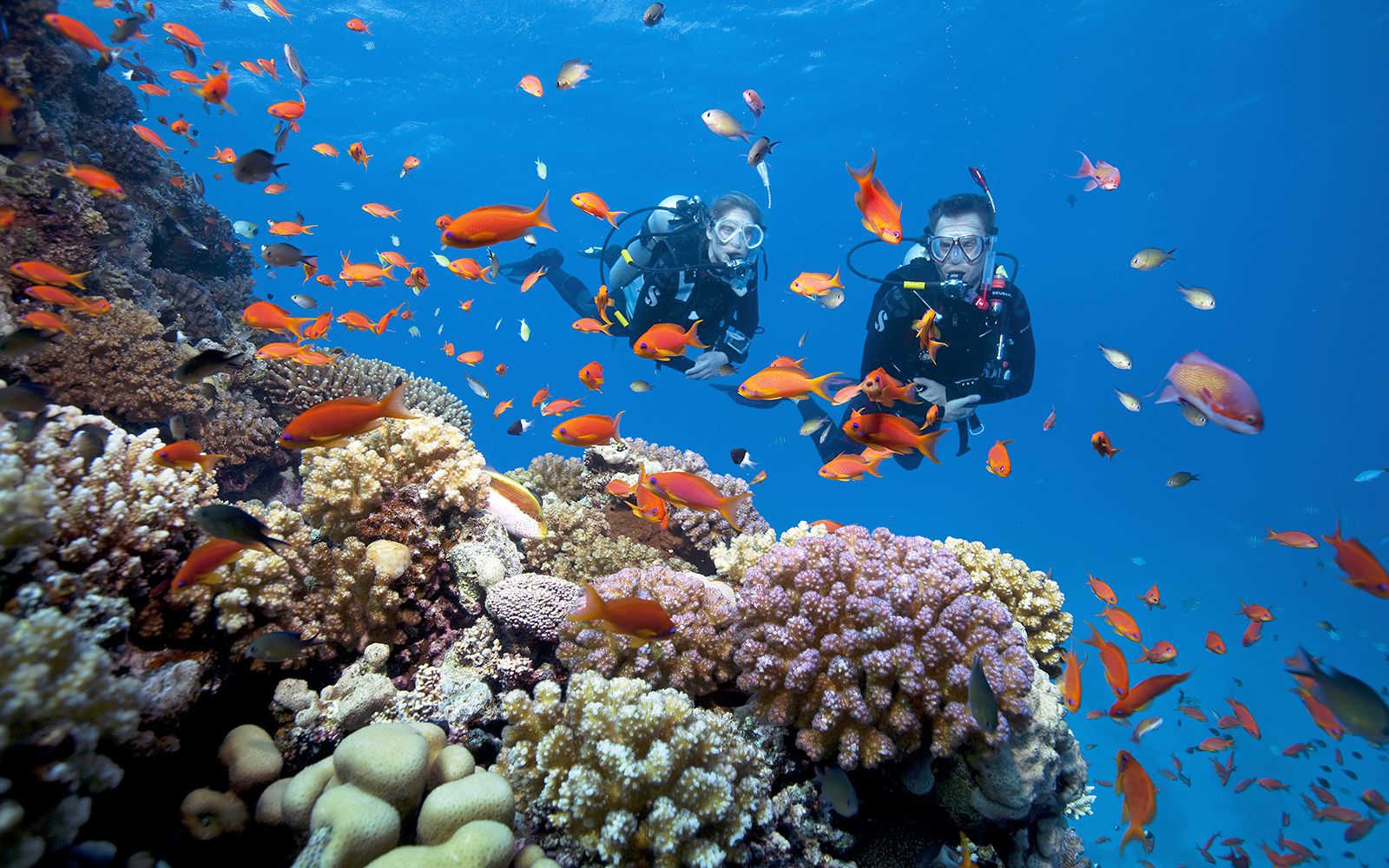 Cu Lao Cham island