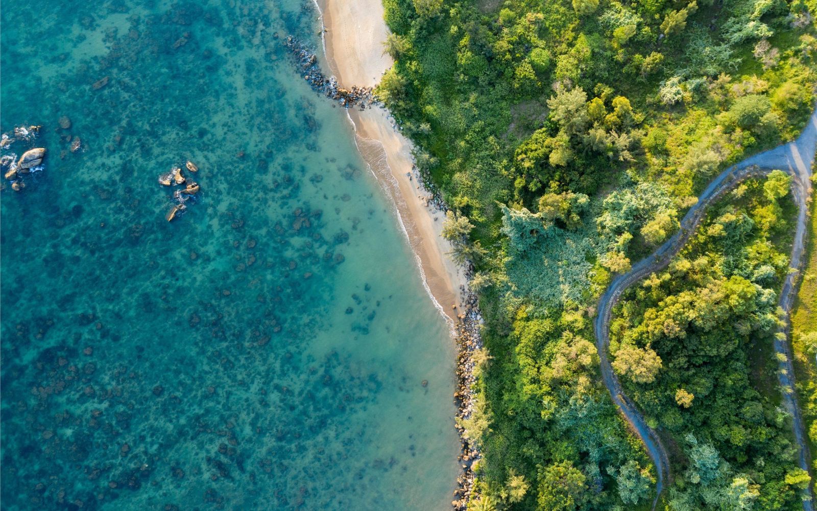 CHAM ISLAND DAY TOUR - Da Nang Hotel Pick up