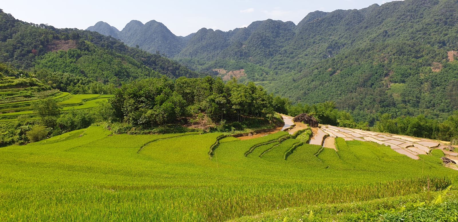 Pu Luong 2 Days 1 Night – Caves, Rice Fields & Village Life 2