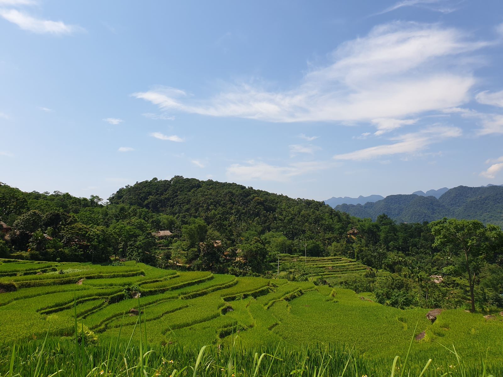 Pu Luong 2 Days 1 Night – Caves, Rice Fields & Village Life 12