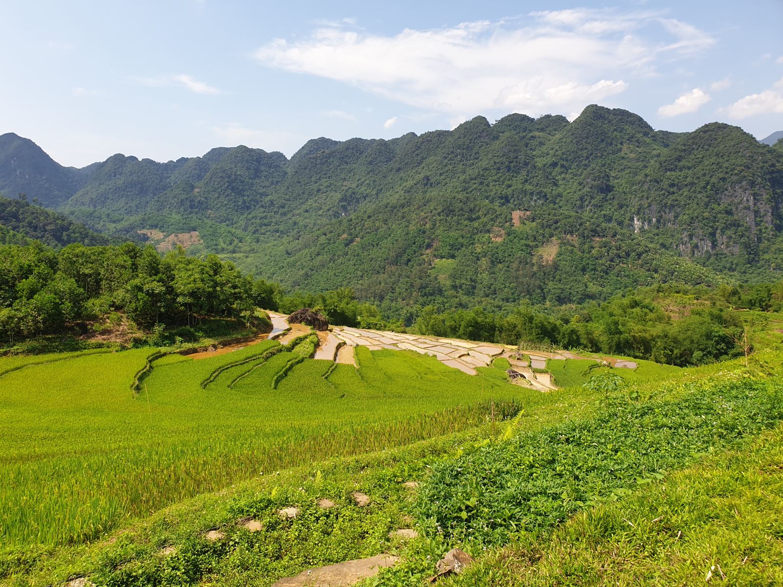 Pu Luong 2 Days 1 Night – Caves, Rice Fields & Village Life 3