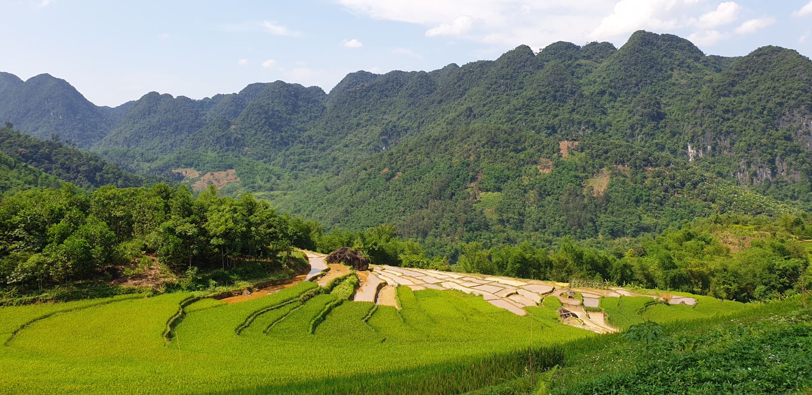 Pu Luong 2 Days 1 Night – Caves, Rice Fields & Village Life 4