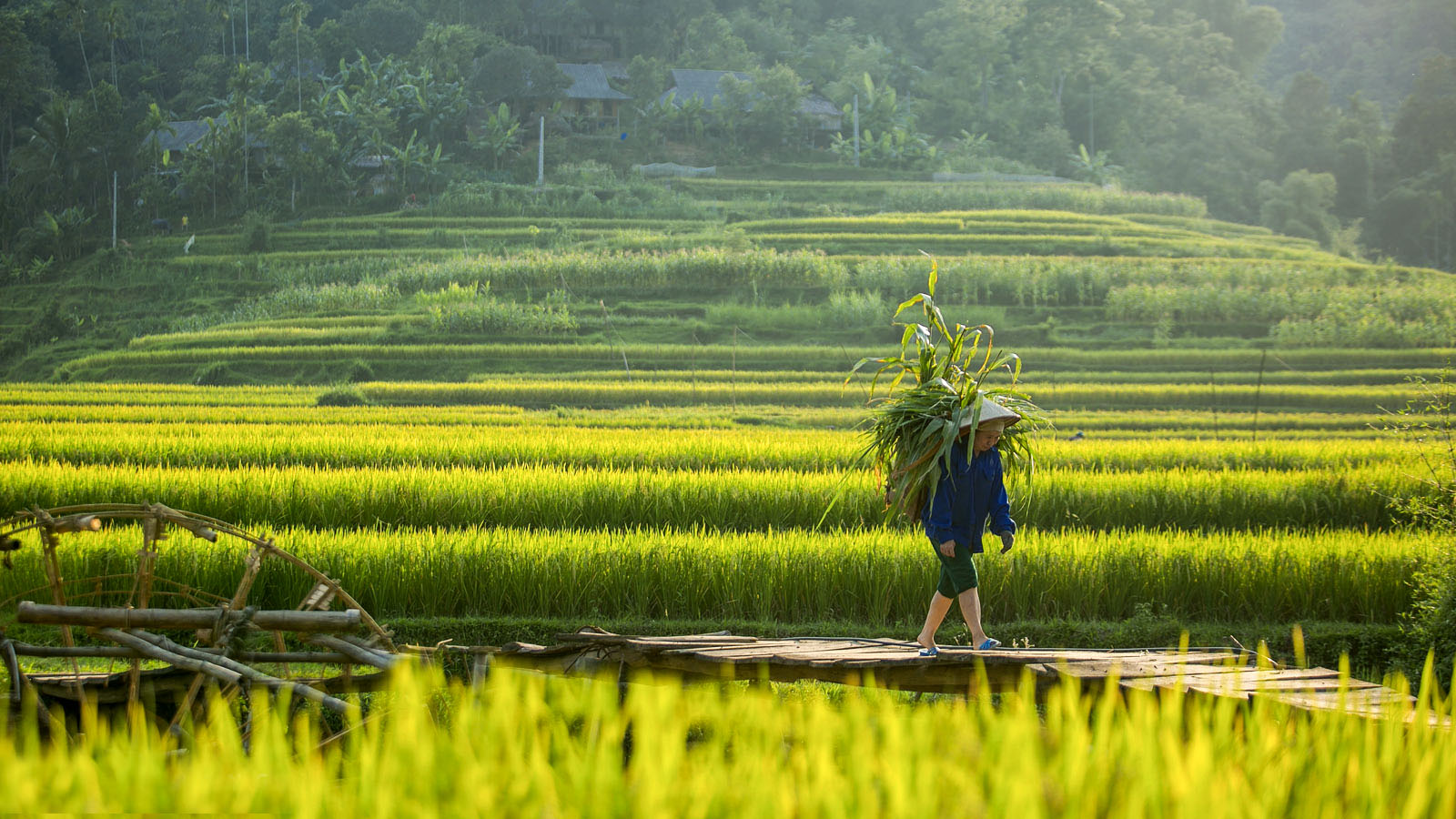 Pu Luong 2 Days 1 Night – Caves, Rice Fields & Village Life 9