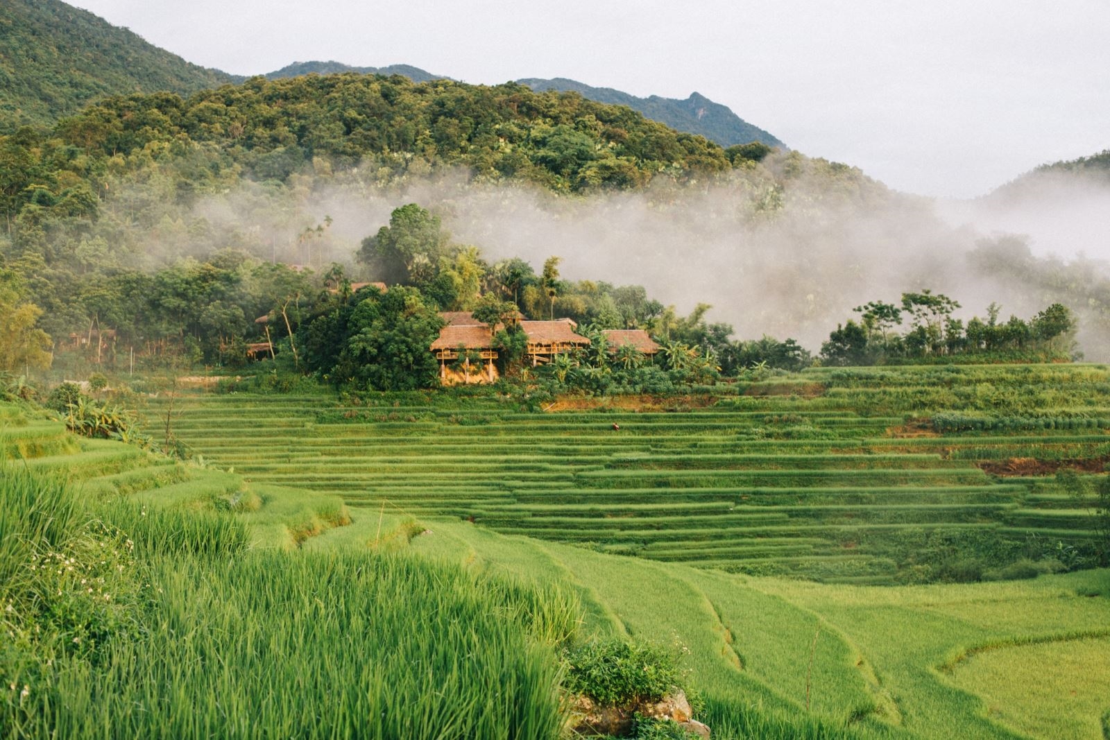 Pu Luong Day Trip from Hanoi 10