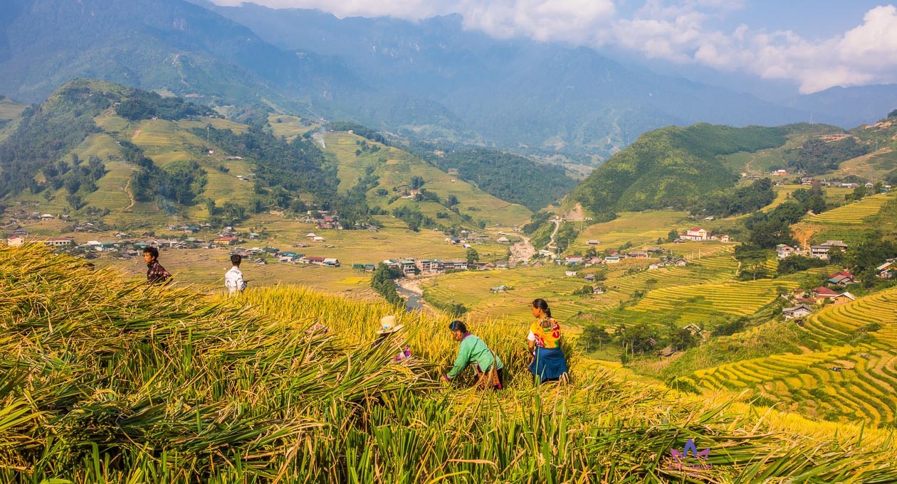 Sapa and Halong tours 6 days exclusive 