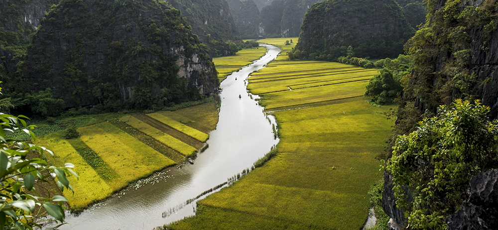 Vietnam at a Glance