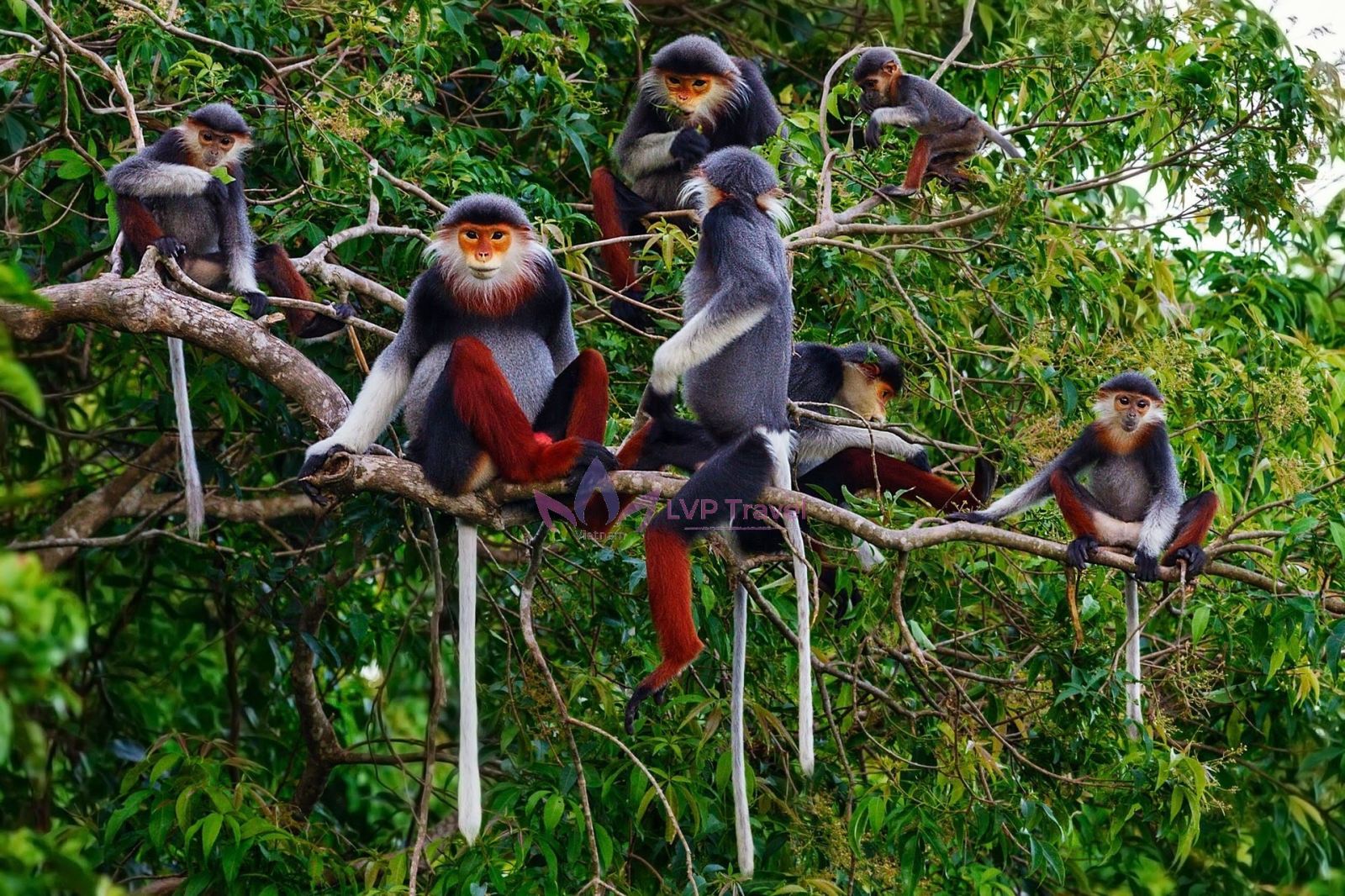 Thung Nham Bird Valley Bich Dong Day Trip