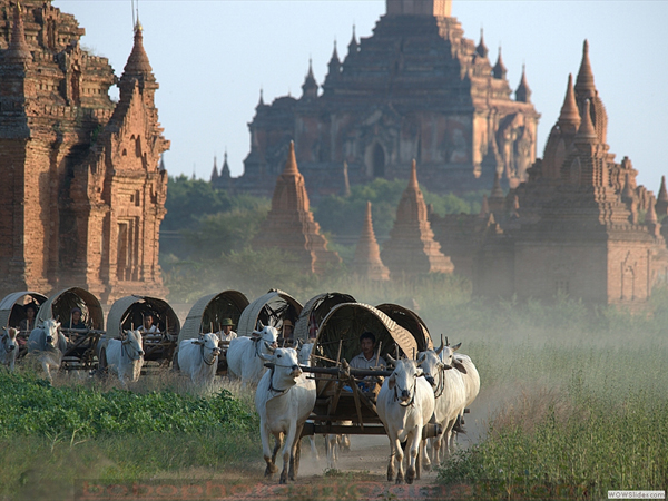 Discover Myanmar in 12 Days