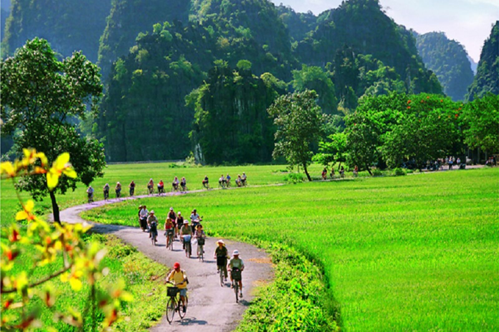 Cuc Phuong National Park a
