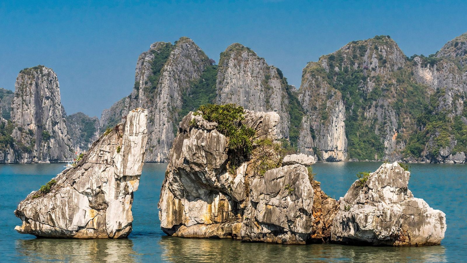 Halong Bay fighting cock islet