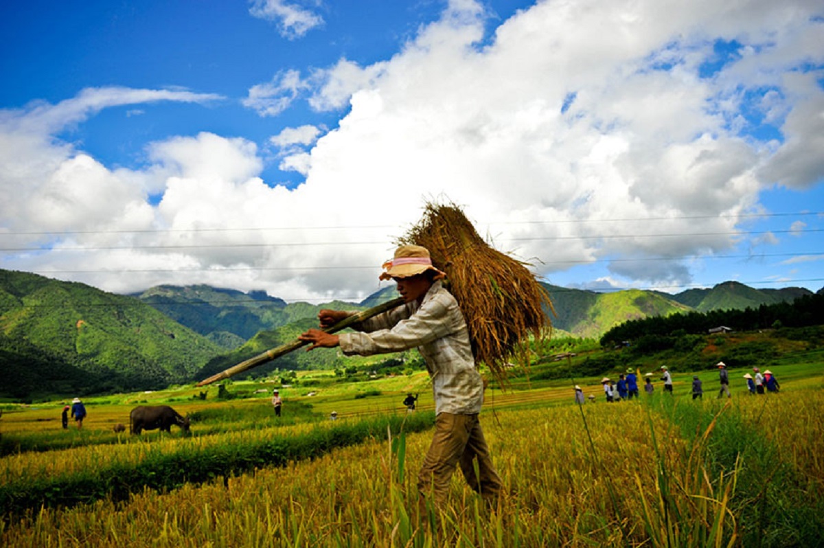 Pu Luong 2 Days 1 Night – Caves, Rice Fields & Village Life