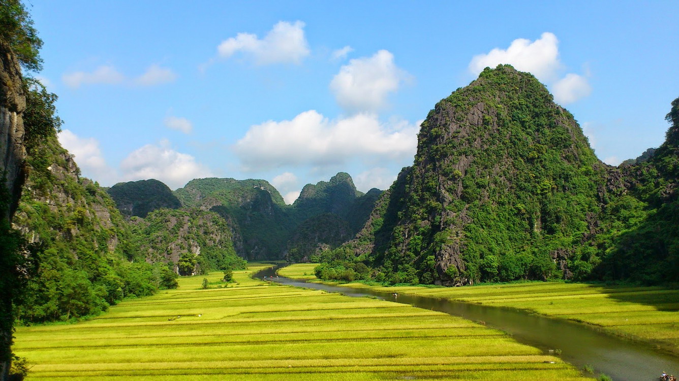 Way to Tam Coc - yellow rice paddy